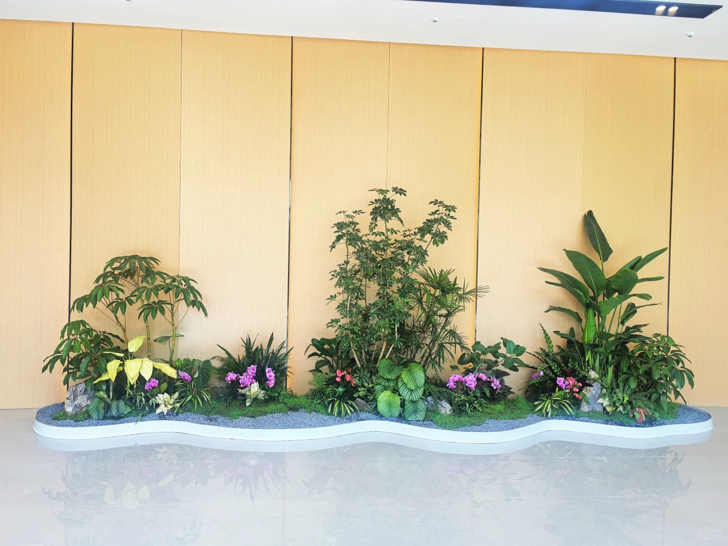 余姚植物出租超实惠，多种绿植任你选！